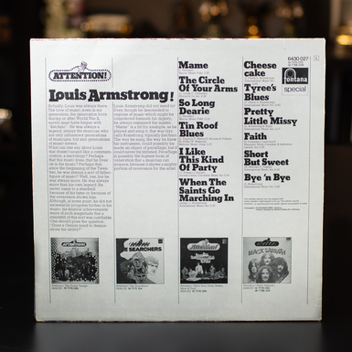 виниловая пластинка фото