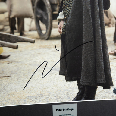 автографов актера Питера Динклэйджа фото 1
