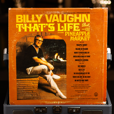 виниловая пластинка фото