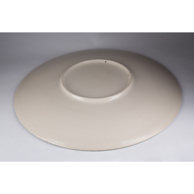 Back side of the plate photo