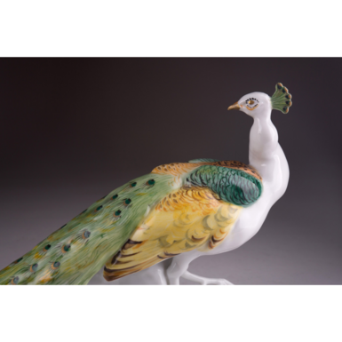 Деталізований павич фото