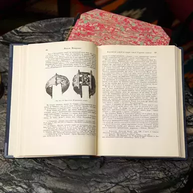 exclusive photo book