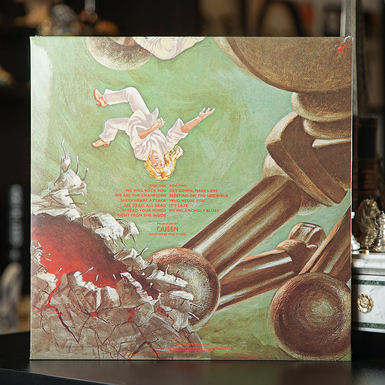 пластинка фото