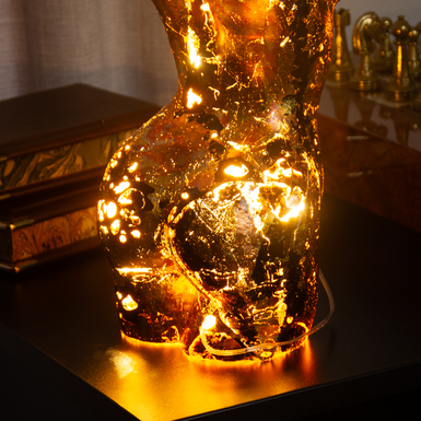 жіночий силует фото 1