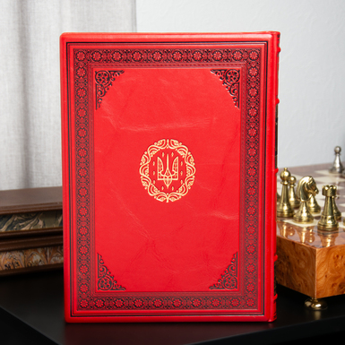 елітна книга у шкірі фото