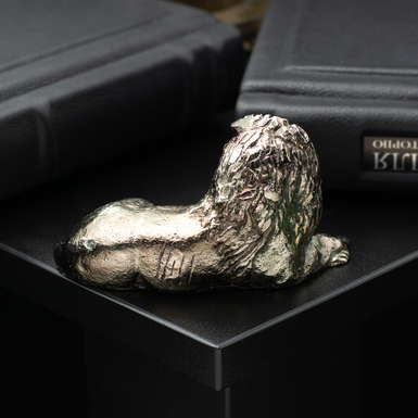 Зворотний бік статуетки фото