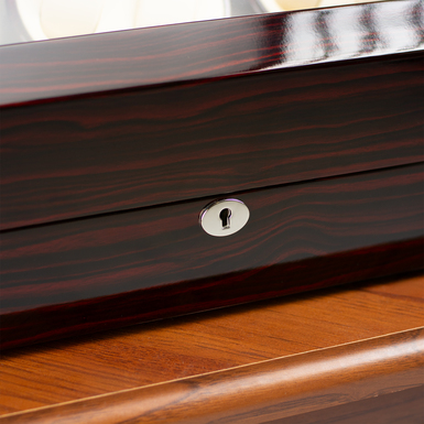 Automatic watch winder and storage box