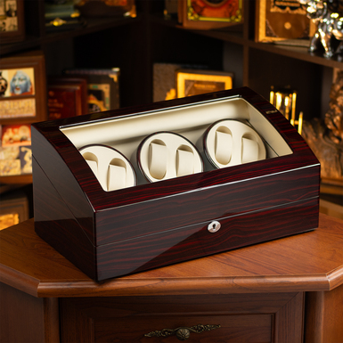 Watch winder box for simultaneous winding and display