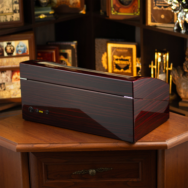 Automatic watch winding in a stylish box