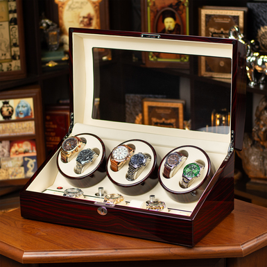 Watch storage and winder box for 6 watches