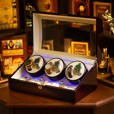 Watch winder box with dual rotation