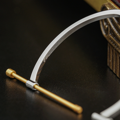 позолоченная сталь фото 1