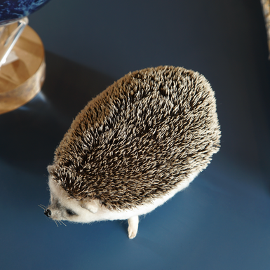 купити іграшку їжачок з вовни фото 1