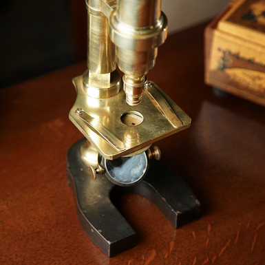 французький мікроскоп фото