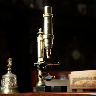 ексклюзивний мікроскоп фото