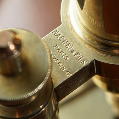 старовинний мікроскоп фото