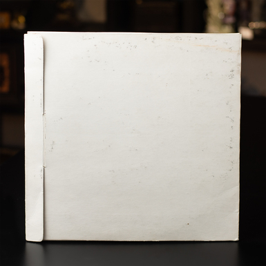 пластинка фото