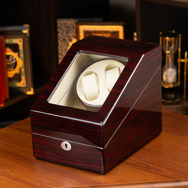 Закритий кейс для годинника фото