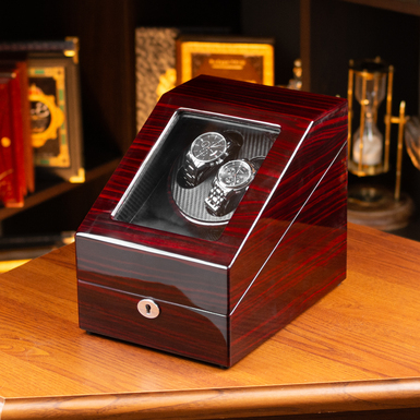 Закритий кейс для годинника фото