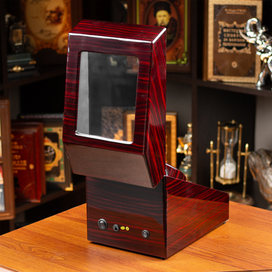 Закритий кейс з віконцем для годинника фото