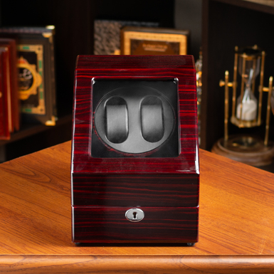 Закритий кейс для годинника фото