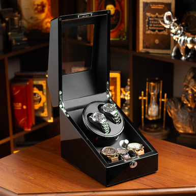 Закритий кейс для годинника фото