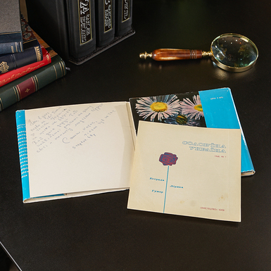 платівка на подарунок фото