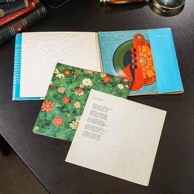 українська платівка фото