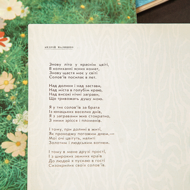 платівка з розворотами фото