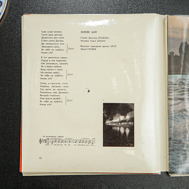 яскрава платівка фото