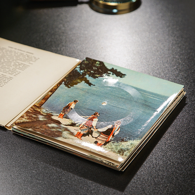 колекційна платівка фото