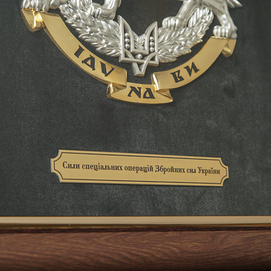 Сили спеціальних операцій ЗС України фото 1