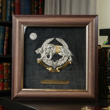 Сили спеціальних операцій ЗС України у рамі фото 1