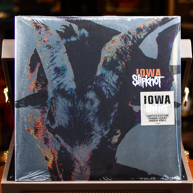 пластинка фото