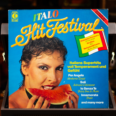 пластинка фото