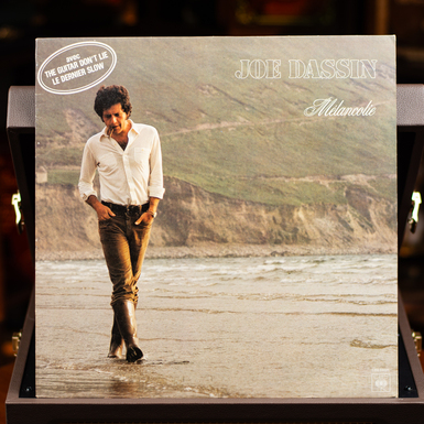 платівка фото