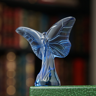 дизайн фото