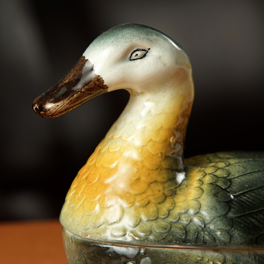 "Cute Duckling", 19th century photo