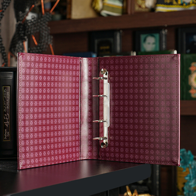 Альбом для монет или банкнот с футляром до 60 листов фото 1