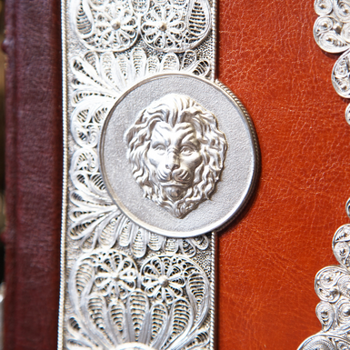 лев на на книзі фото