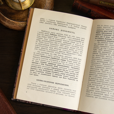 разворот книги фото