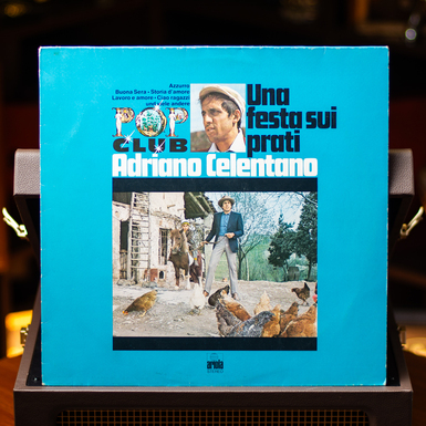 Вінілова платівка фото