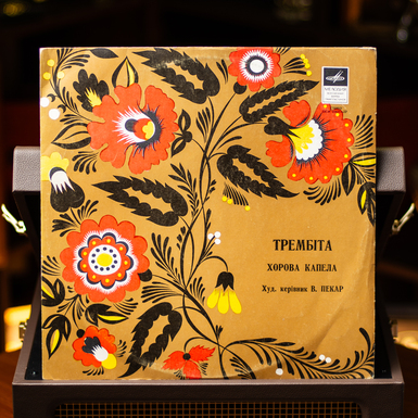 Виниловая пластинка фото