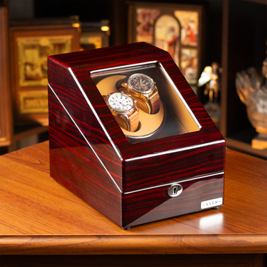 Case with lock photo