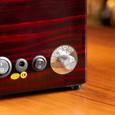 Скринька преміум-класу для механічних годинників фото