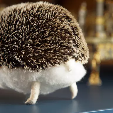 wow video Авторська іграшка з овечої вовни "Їжачок"