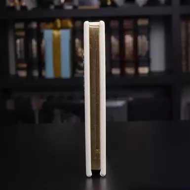 wow video Щоденник у шкірі із срібною вставкою Янгола-Охоронця