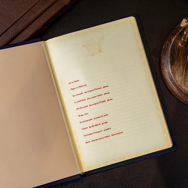 wow video Дневник с трезубцем