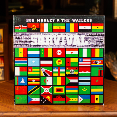 платівка фото