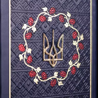 wow video Щоденник у шкіряній обкладинці "Герб України" (синій)